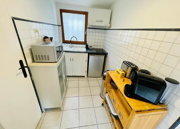 Appartement Duplex Avec Terrasse Vue Mer