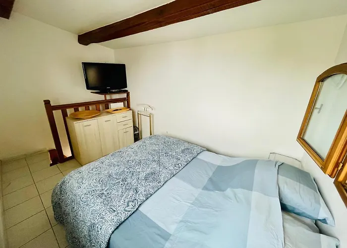 Appartement Duplex Avec Terrasse Vue Mer